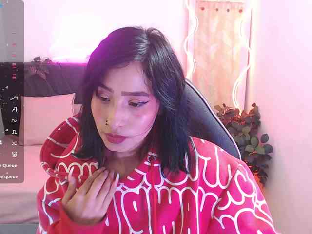 Palmerfox-tay webcam