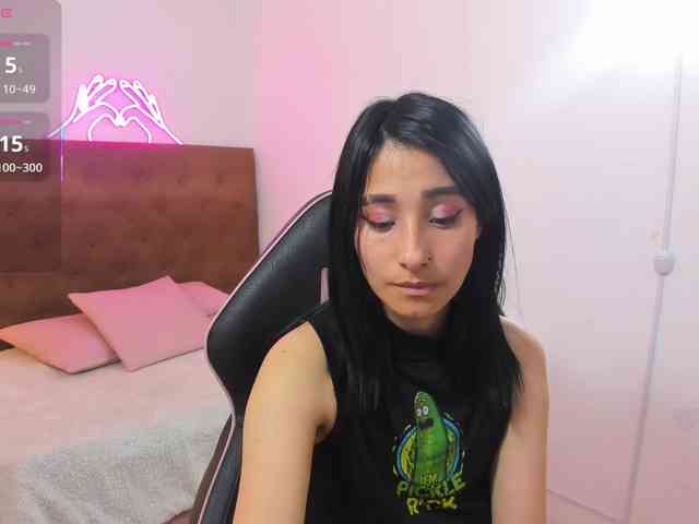 Palmerfox-tay webcam