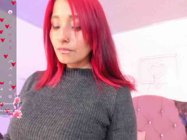 Palmerfox-tay webcam