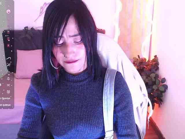 Palmerfox-tay webcam
