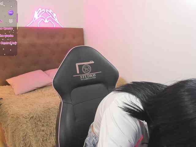 Palmerfox-tay webcam