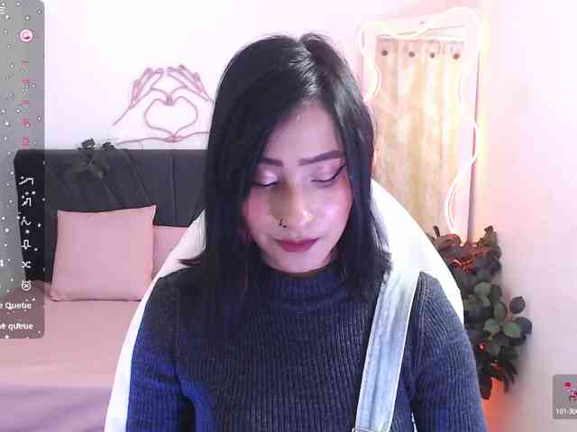 Palmerfox-tay webcam