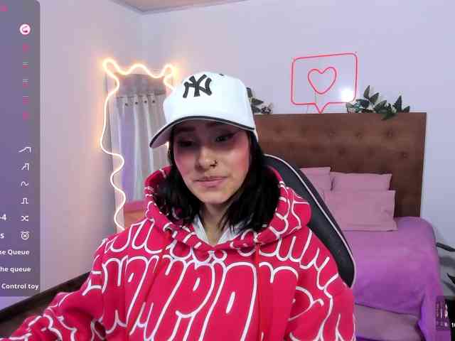 Palmerfox-tay webcam