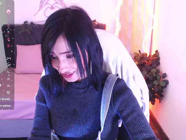 Palmerfox-tay webcam