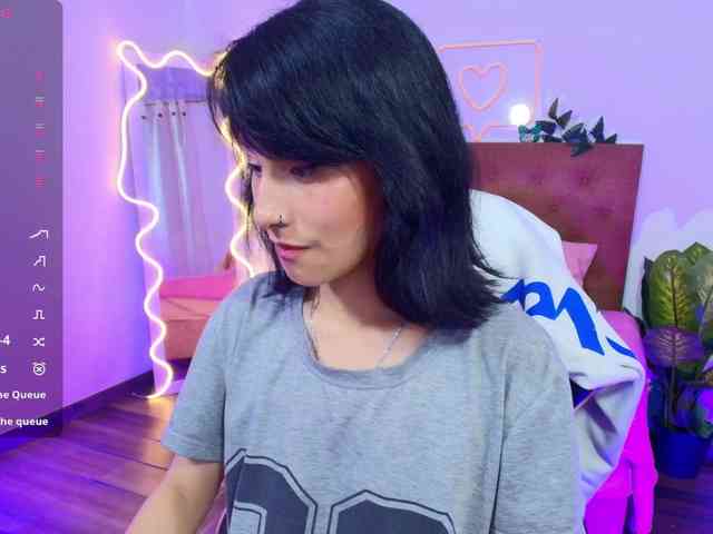 Palmerfox-tay webcam