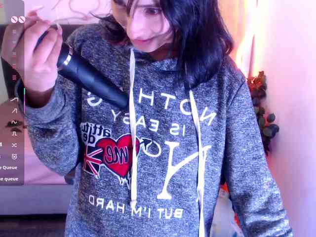 Palmerfox-tay webcam
