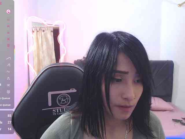 Palmerfox-tay webcam