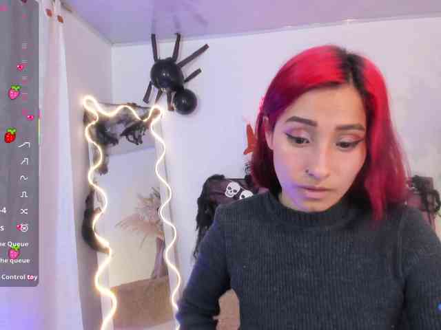 Palmerfox-tay webcam