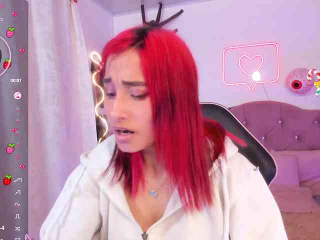 Palmerfox-tay webcam