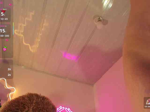 Palmerfox-tay Palmerfox-tay