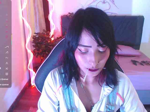 Palmerfox-tay webcam
