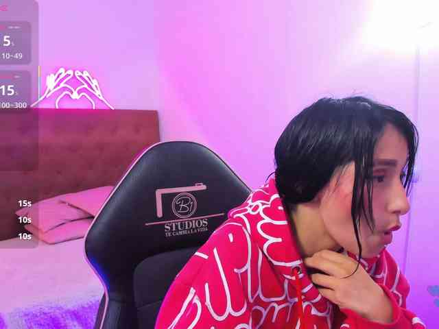 Palmerfox-tay webcam