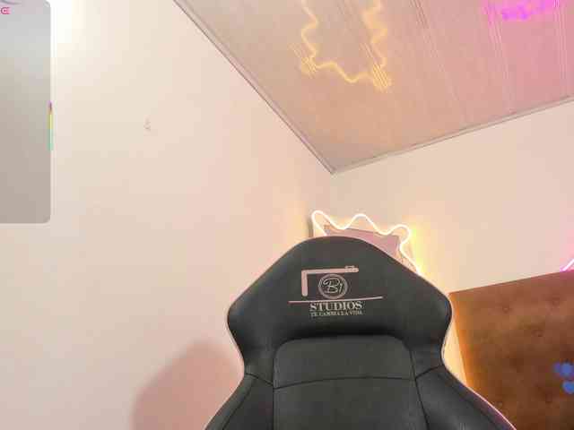 Palmerfox-tay webcam