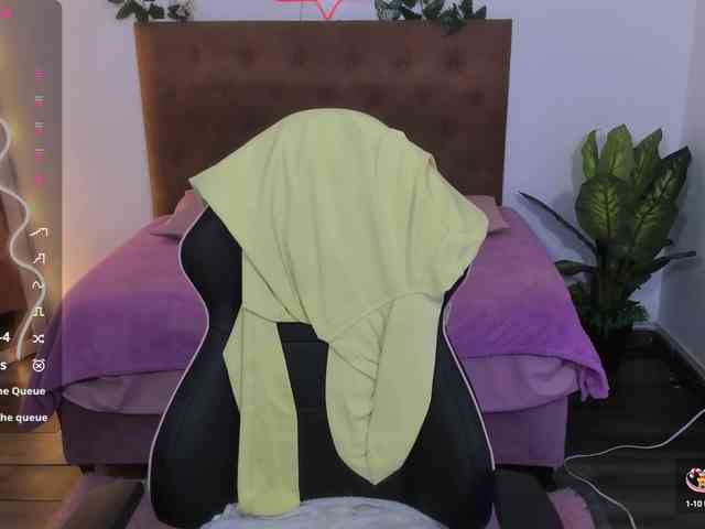 Palmerfox-tay webcam