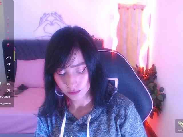 Palmerfox-tay webcam