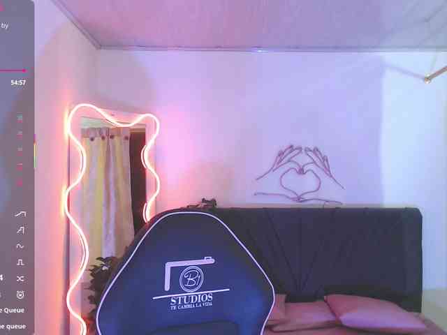 Palmerfox-tay webcam