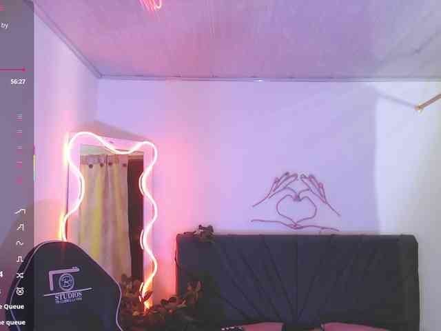 Palmerfox-tay webcam