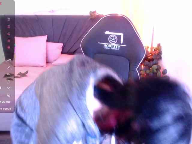 Palmerfox-tay webcam