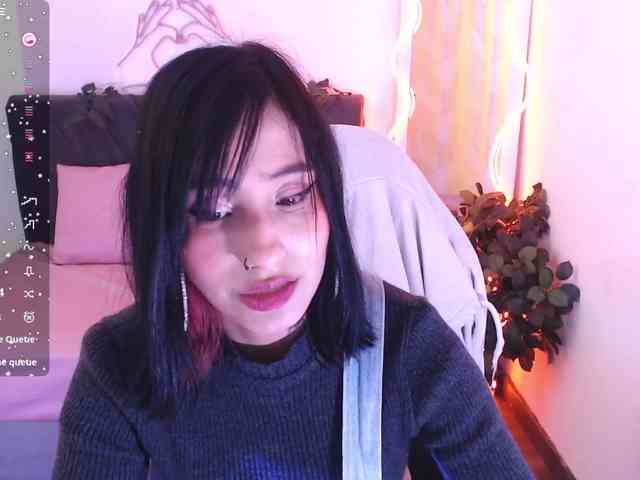 Palmerfox-tay webcam