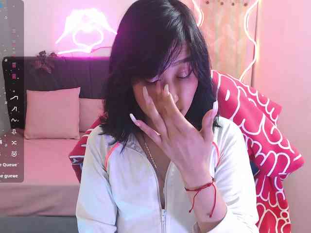 Palmerfox-tay webcam