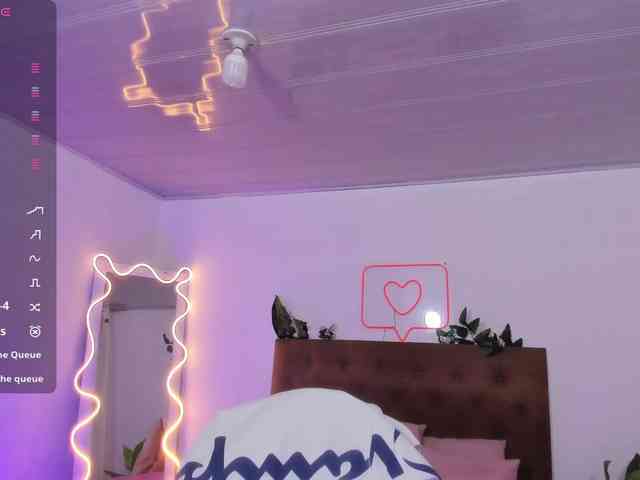 Palmerfox-tay webcam