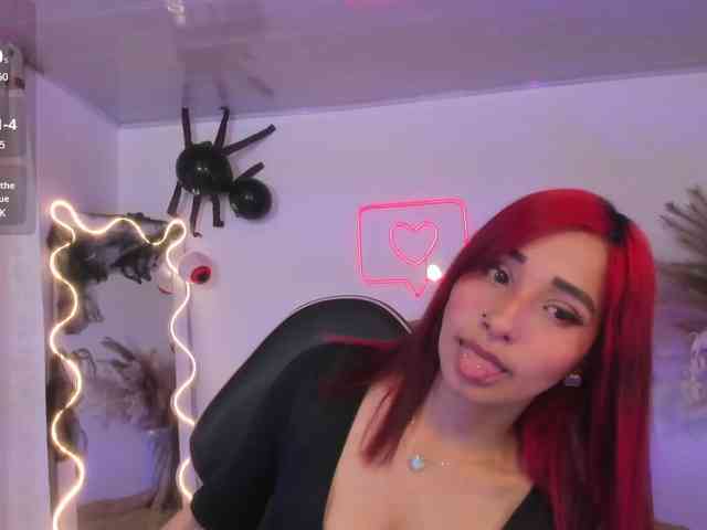Palmerfox-tay webcam