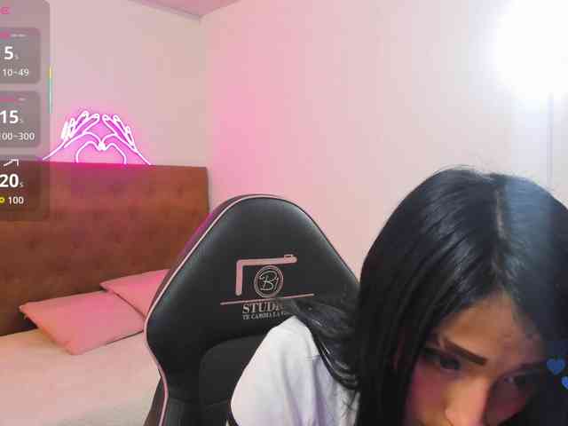 Palmerfox-tay webcam