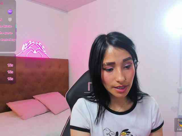 Palmerfox-tay webcam