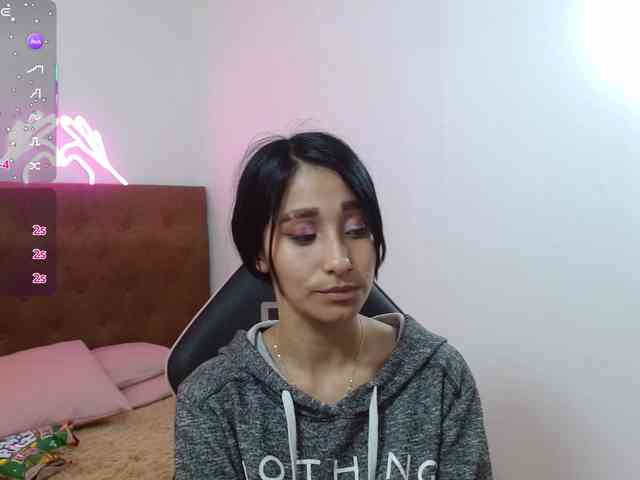 Palmerfox-tay webcam