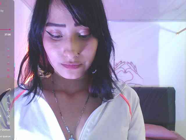 Palmerfox-tay webcam