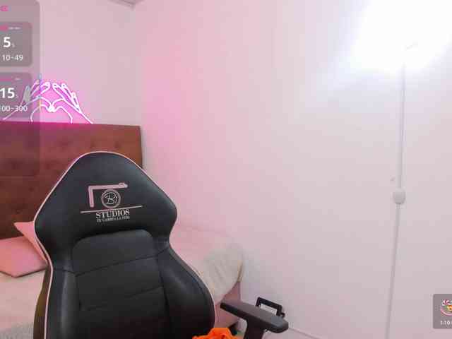 Palmerfox-tay webcam