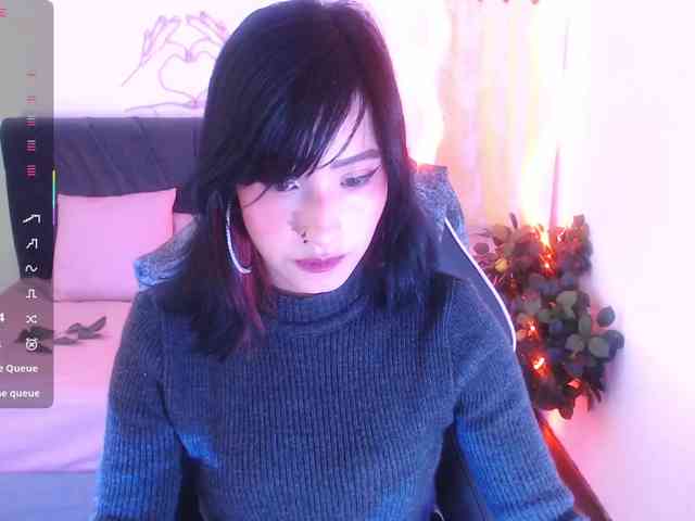 Palmerfox-tay webcam