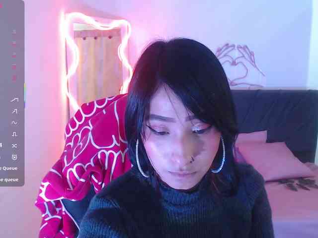 Palmerfox-tay webcam