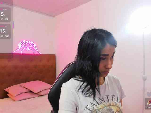 Palmerfox-tay webcam