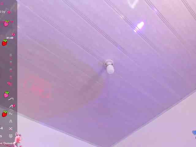 Palmerfox-tay webcam