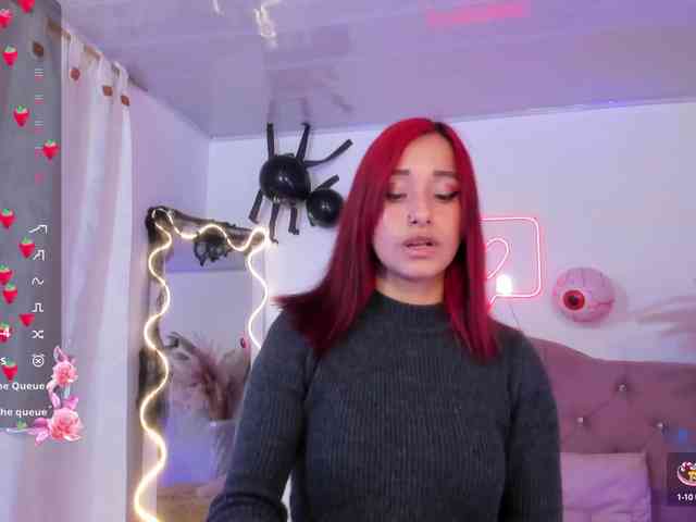 Palmerfox-tay webcam