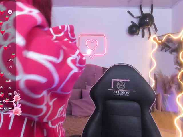 Palmerfox-tay webcam