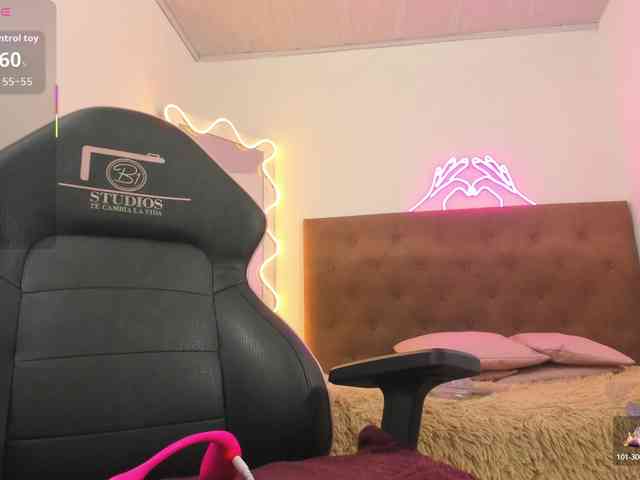 Palmerfox-tay webcam