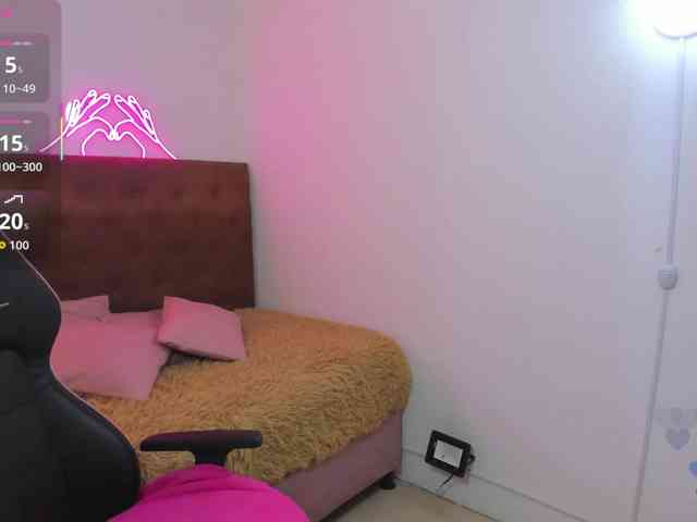 Palmerfox-tay webcam