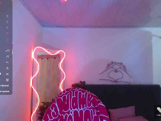 Palmerfox-tay webcam