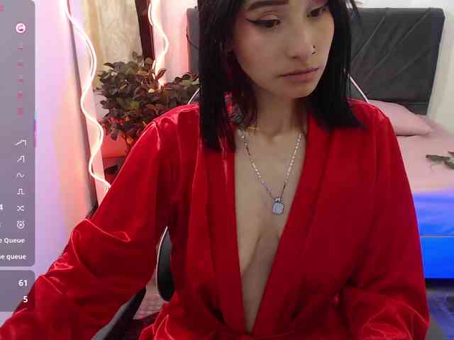 Palmerfox-tay webcam
