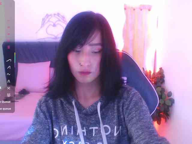 Palmerfox-tay webcam