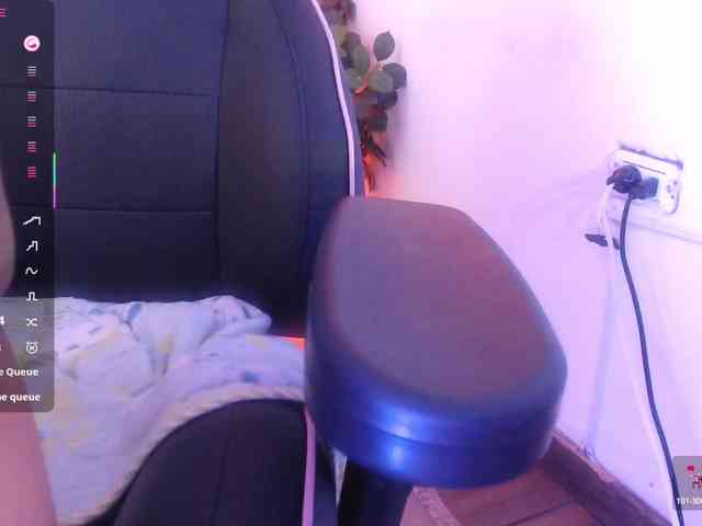 Palmerfox-tay webcam