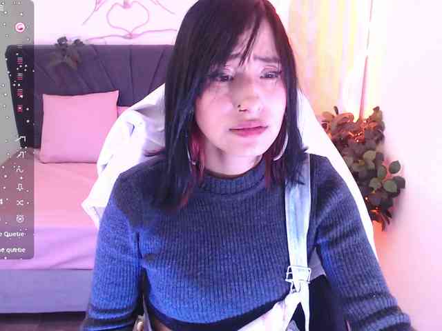 Palmerfox-tay webcam
