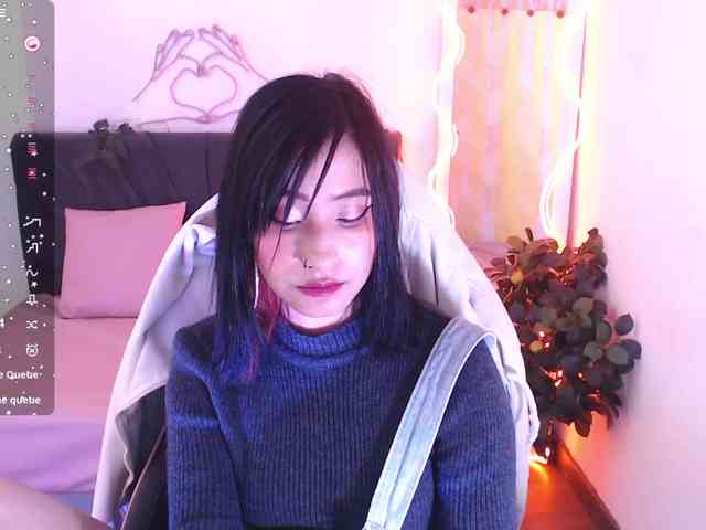 Palmerfox-tay webcam
