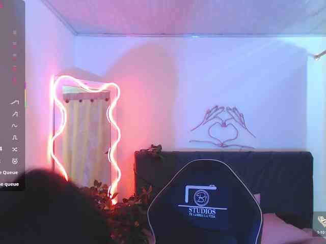 Palmerfox-tay webcam