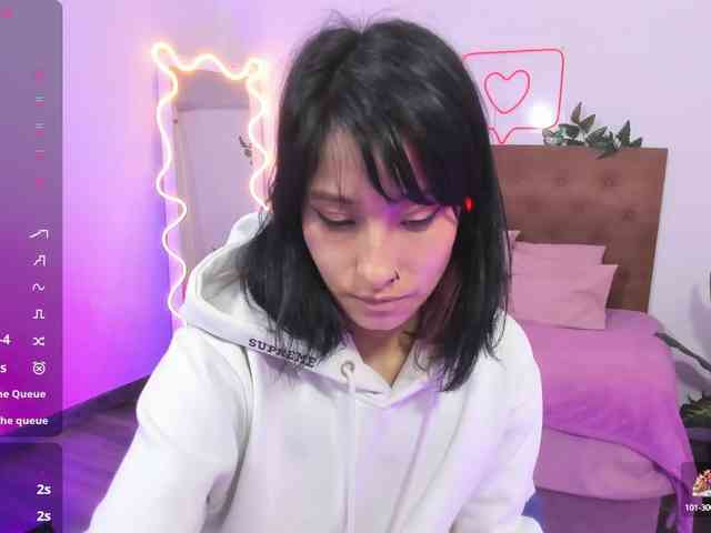Palmerfox-tay webcam