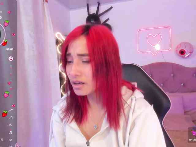 Palmerfox-tay webcam