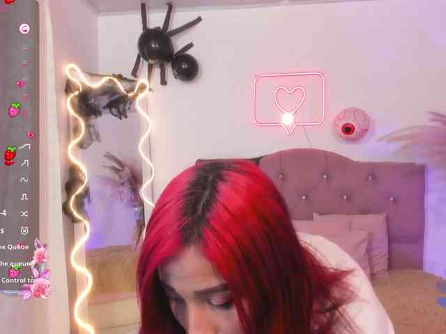 Palmerfox-tay webcam