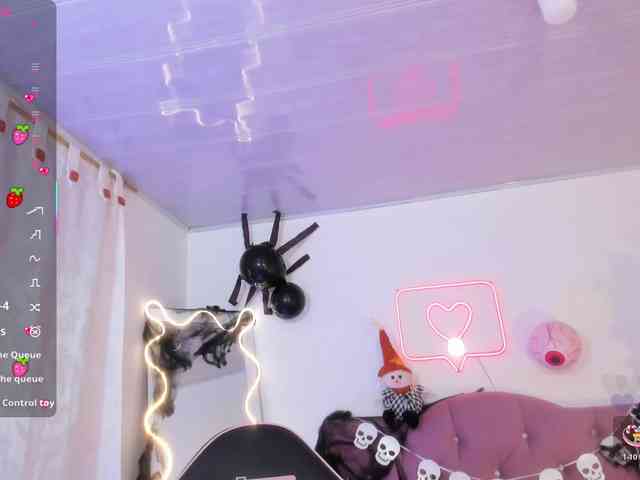 Palmerfox-tay webcam